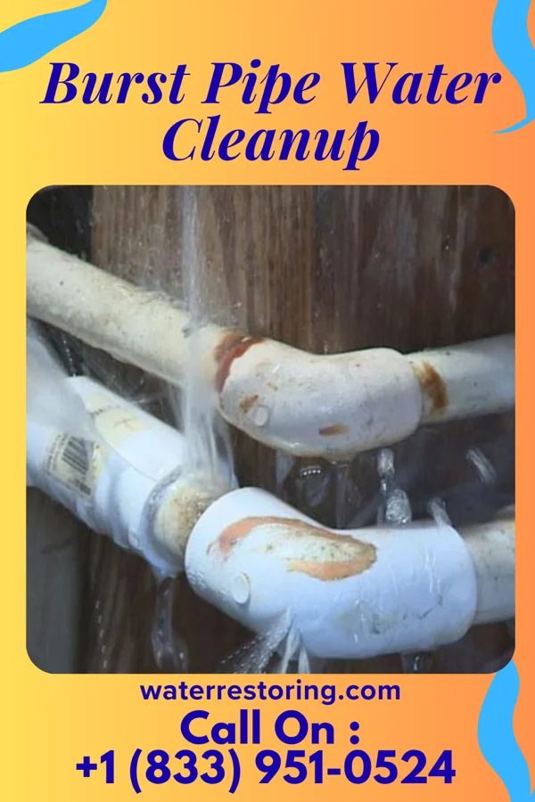 Burst Pipe Water Cleanup in Waunakee, WI