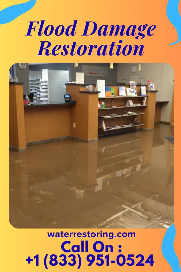 Flood Damage Restoration in Waunakee, WI