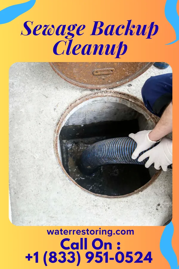 Sewage Backup Cleanup in Waunakee, WI